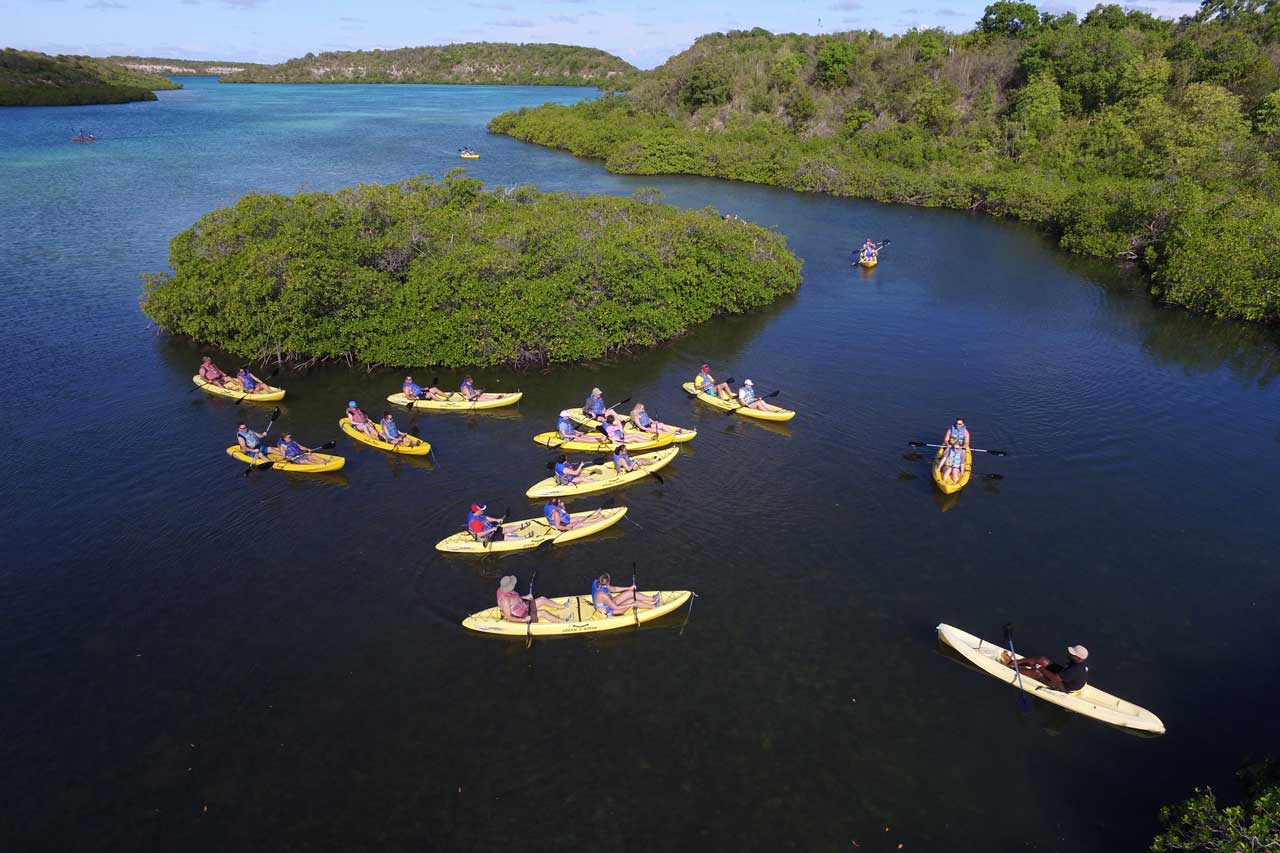 A group of people kayaking in yellow boats on a calm, winding river surrounded by lush green trees and shrubs. The sky is clear, and there are various small groups paddling in different directions.