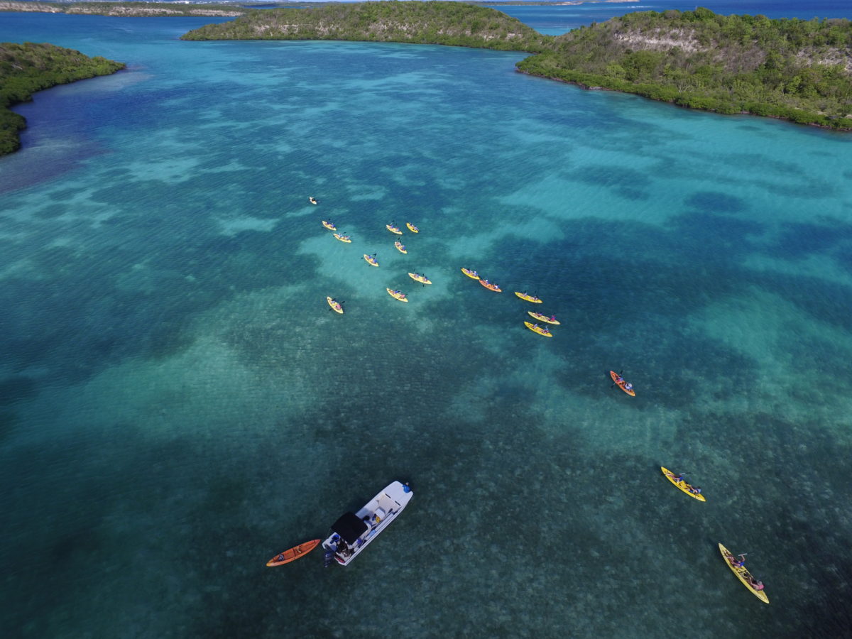 Kayaking in Antigua 